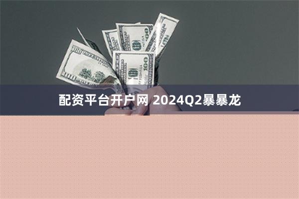 配资平台开户网 2024Q2暴暴龙