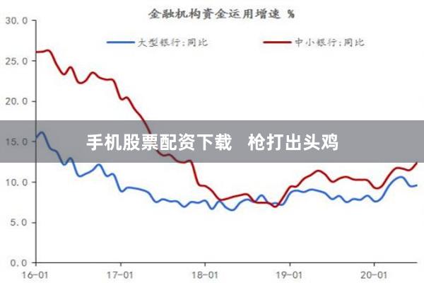 手机股票配资下载   枪打出头鸡