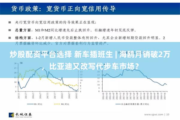 炒股配资平台选择 新车插班生 | 海鸥月销破2万，比亚迪又改写代步车市场？