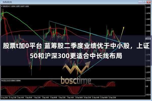 股票t加0平台 蓝筹股二季度业绩优于中小股，上证50和沪深300更适合中长线布局