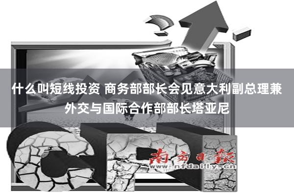 什么叫短线投资 商务部部长会见意大利副总理兼外交与国际合作部部长塔亚尼