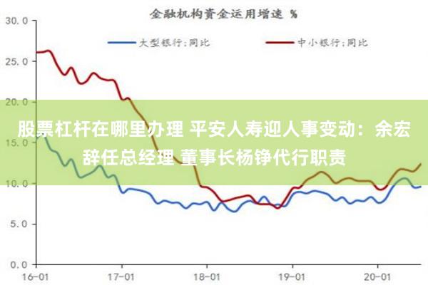 股票杠杆在哪里办理 平安人寿迎人事变动：余宏辞任总经理 董事长杨铮代行职责