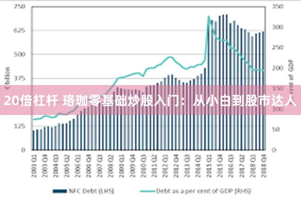 20倍杠杆 珞珈零基础炒股入门：从小白到股市达人