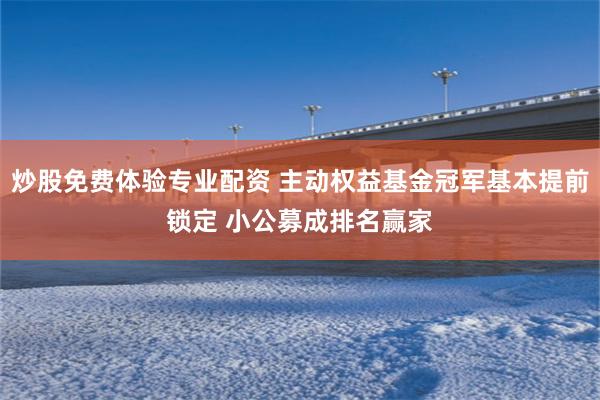 炒股免费体验专业配资 主动权益基金冠军基本提前锁定 小公募成排名赢家