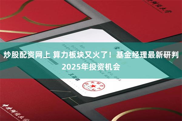 炒股配资网上 算力板块又火了！基金经理最新研判2025年投资机会