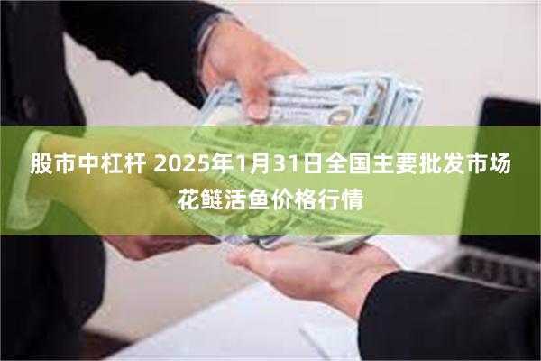 股市中杠杆 2025年1月31日全国主要批发市场花鲢活鱼价格行情