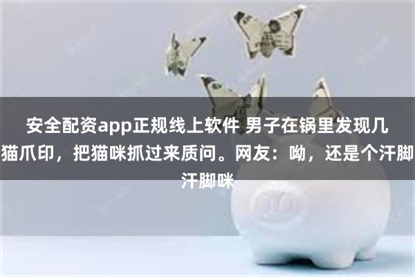 安全配资app正规线上软件 男子在锅里发现几个猫爪印，把猫咪抓过来质问。网友：呦，还是个汗脚咪